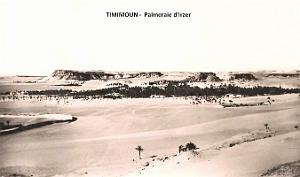 Timimoun - Palmeraie d'Irzer